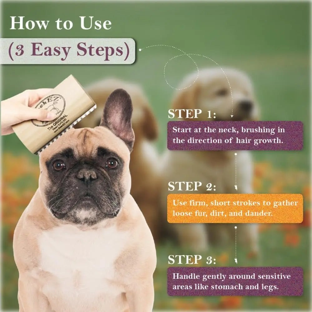Grooming & Shedding Dog & Cat Brush