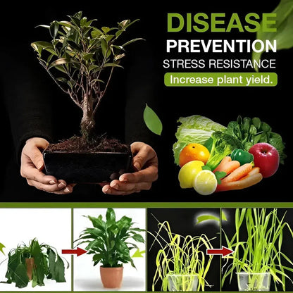 Soil Activator - Plant's Best Friend (BUY 1 GET 1 FREE)🔥