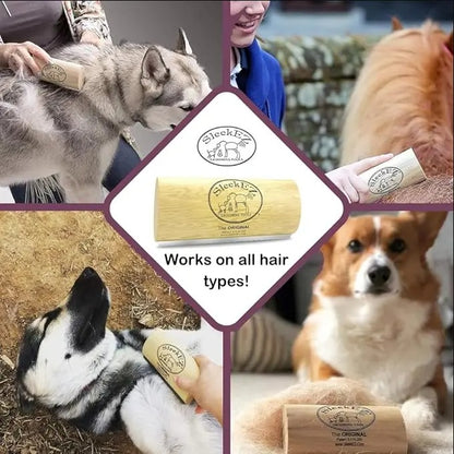 Grooming & Shedding Dog & Cat Brush